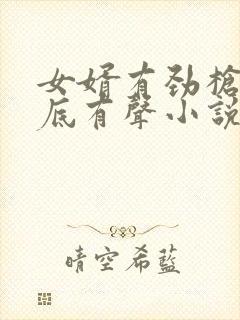 女婿有劲枪枪到底有声小说