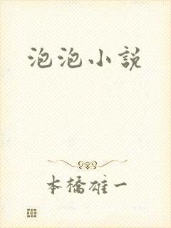 泡泡小说