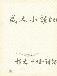 成人小说txt