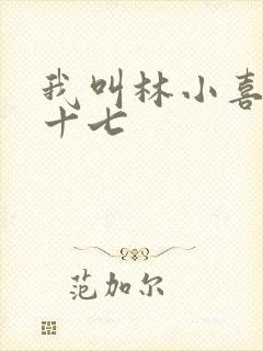 我叫林小喜今年十七