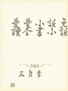 爱爱小说免费阅读全书小说乡村