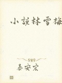 小说林雪梅