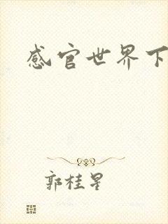 感官世界下载