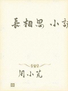 长相思 小说
