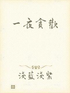 一夜贪欢