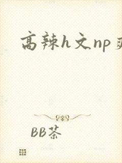 高辣h文np爽