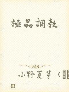 极品调教