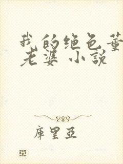 我的绝色董事长老婆 小说