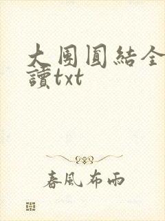 大团圆结全文阅读txt