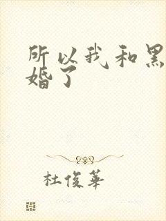 所以我和黑粉结婚了