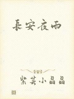 长安夜雨