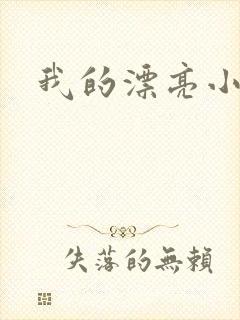 我的漂亮小后妈