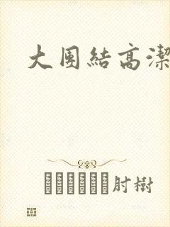 大团结高洁