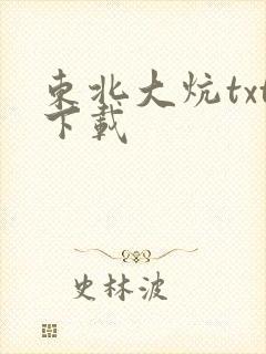 东北大炕txt下载