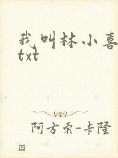 我叫林小喜小说txt