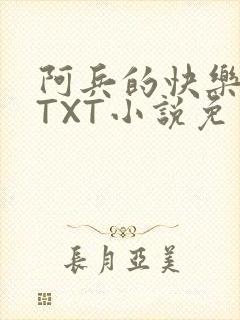 阿兵的快乐生活TXT小说免费阅读全章