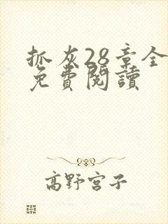 抓灰28章全部免费阅读