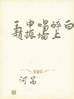 王申喝醉白洁被赵振墙上