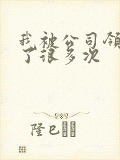 我被公司领导C了很多次