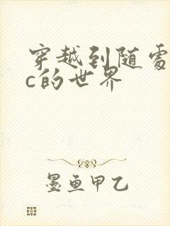 穿越到随处可以c的世界