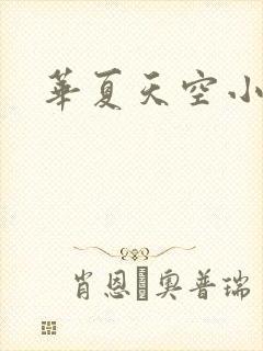 华夏天空小说网