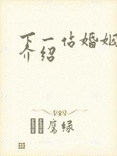 下一站婚姻剧情介绍