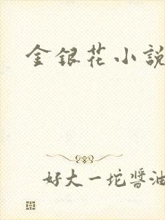 金银花小说乐可