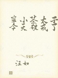 宁小茶太子殿下今天破戒了吗免费阅读