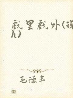 戏里戏外(现场h)