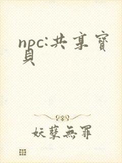 npc:共享宝贝
