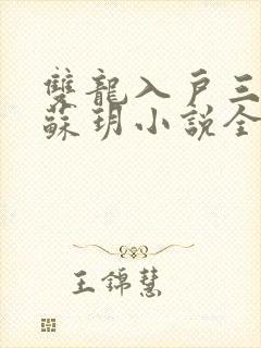 双龙入户三人行苏玥小说全文阅读