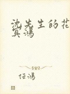 沈先生的花式调冥鸿