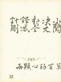 针锋对决小说未删减全文阅读