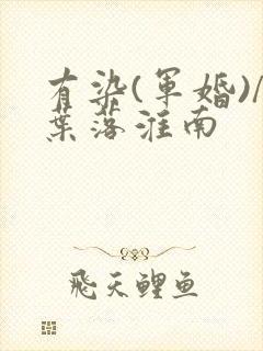 有染(军婚)/叶落淮南