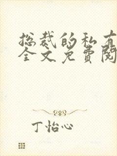 总裁的私有宝贝全文免费阅读