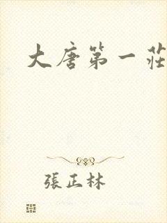 大唐第一庄