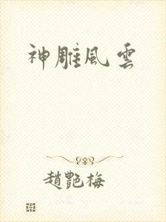 神雕风云