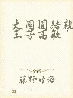 大团圆结亲情会王芳高敏