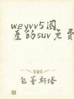 weyvv5国产的suv免费