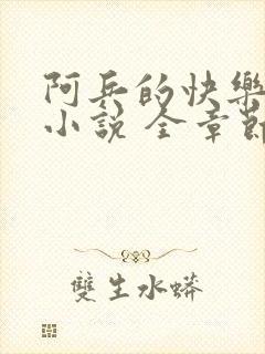 阿兵的快乐生活小说 全章节阅读免费