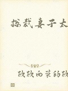 总裁妻子太诱人