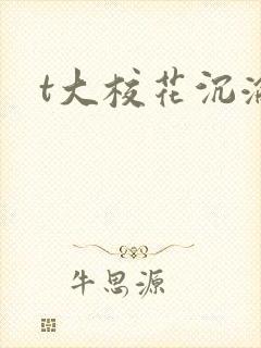 t大校花沉沦
