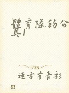 体育队的公用玩具1