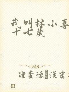 我叫林小喜今年十七岁