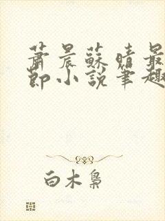 萧晨苏晴最新章节小说笔趣阁