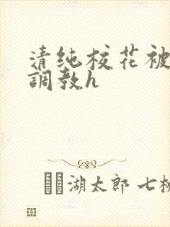 清纯校花被地狱调教h