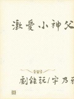 激爱小神父