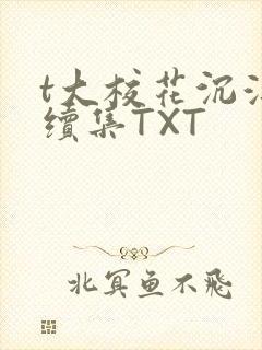 t大校花沉浮录续集TXT