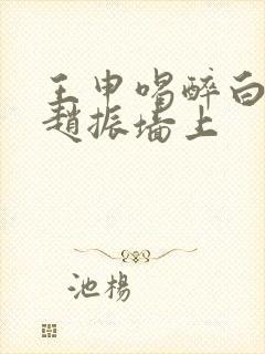 王申喝醉白洁被赵振墙上