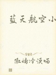 蓝天航空小说